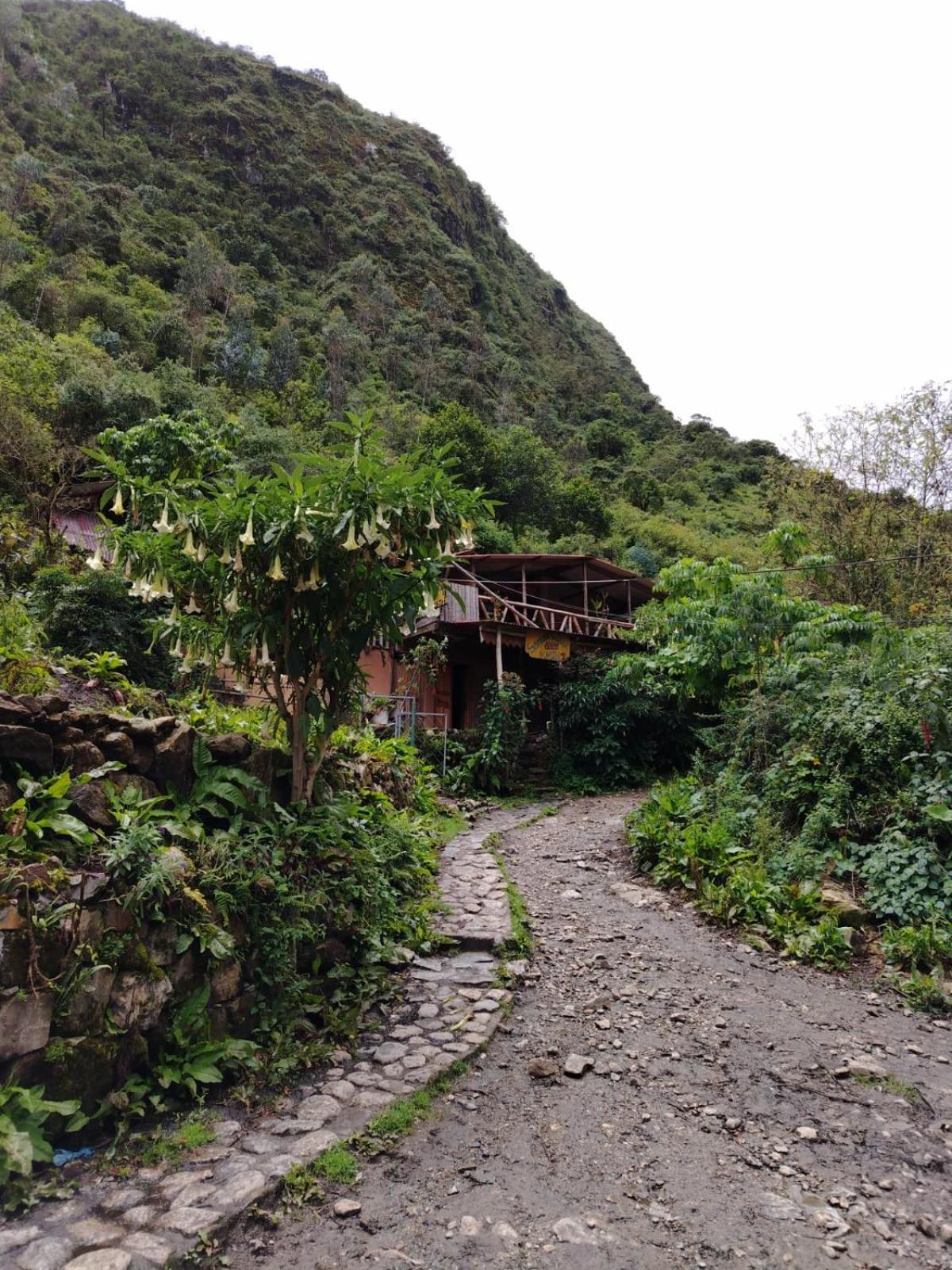 Hostel Samana Wasi Chaullay Cusco Exteriör bild